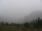 ennyi jutott a királyi panorámából