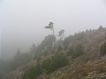 ennyi jutott a királyi panorámából