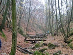 Szurdokvölgy