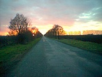 Vissza a városba (Mini)