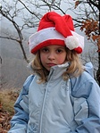 Orsi