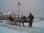 a póni vontatta szán