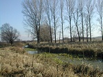 A helyes irány