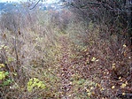 út2