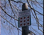 Megérkeztél
