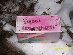 Izeg-mozog