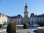 Buxusok