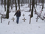 Viri a síroknál