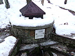 Forrás