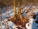 rejtek