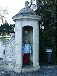 Orsi
