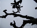 3/2