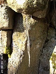 Csüngő