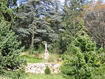 Az arborétum szentje