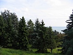 Kilátás az arborétumból 2.