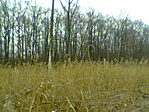 Puszta