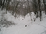 A horhosban