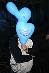 A kék nyúl