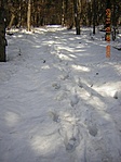Magányosan