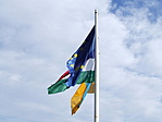 Zászlók