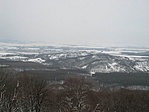 Dregelypalank