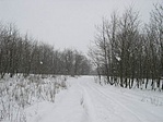 Hoesesben hazafele