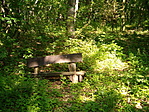 erdő