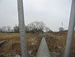 Műtárgy