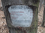 32 éves tábla