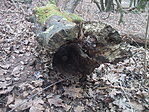 A második pont