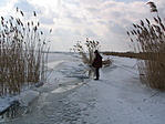 Szeder