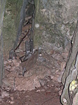 Jég-stalagmitok (9-es pont)