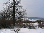 A láda helye