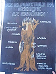 elpusztult fa szerepe