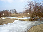 Visszafelé