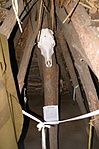 Kintről