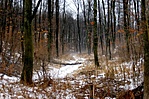 A KÖD