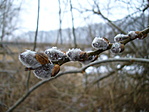 Végre megjelent a barka 2. :-)