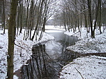 Pihi