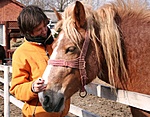 Diskurzus
