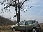 Tacuma