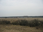 Mező