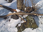 Laci-láda