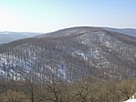 Szembepukli