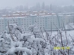 Házak