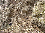 új cache