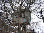 A kukkoló tanyája 2