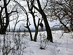 Felértünk