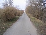 Út a Dél-Pestitől