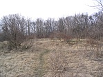 A környék